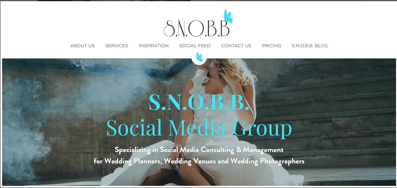 customer demographics and smm customer demographics and smm